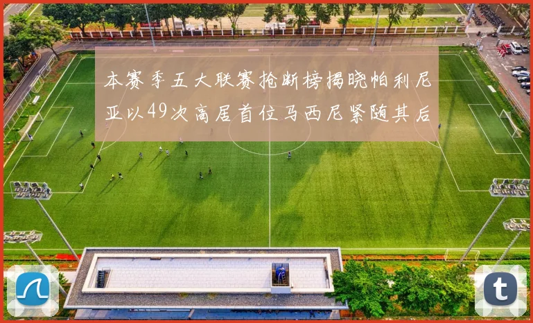 本赛季五大联赛抢断榜揭晓帕利尼亚以49次高居首位马西尼紧随其后