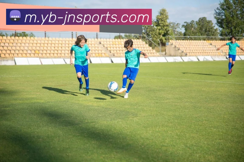 App Interface Preview