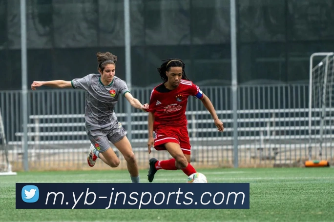 江南体育APP 封面图